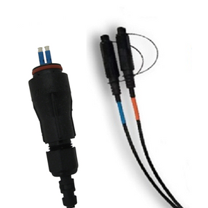 Fiber Optic Assemblies