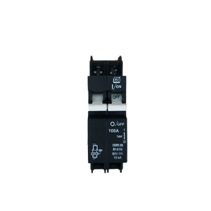 CBI: 100 Amp, 2-Pole, 80 VDC Circuit Breaker