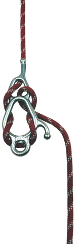 Fisk Descender