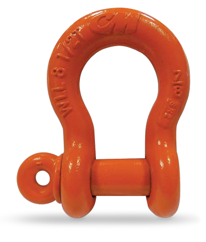 Domestic Shackles