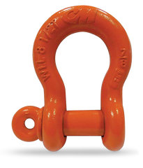 Domestic Shackles